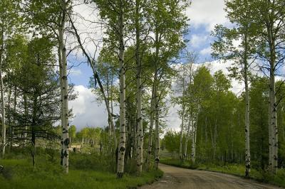 2512-Follow-the-road.jpg