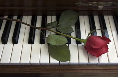 5884-A-Rose-for-a-Song.jpg