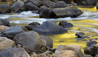 _DSC0656-R-Flow-of-the-Merc.jpg