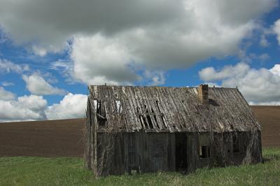 _DSC2696-01-Losing-the-figh.jpg