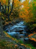 9596-Fall-Stream-3.jpg