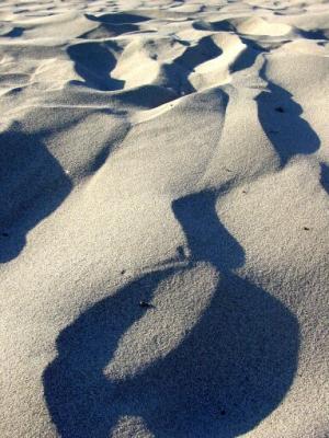 Sand and Shadows.jpg