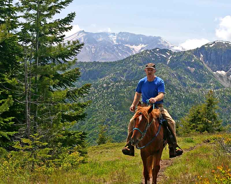 Mt St Helens in background