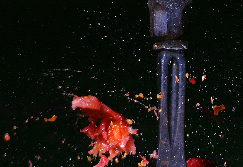 CRW_4927a.jpg