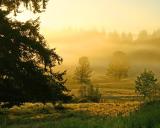 CRW_3578a.jpg