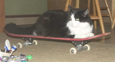 Claiming The Skateboard