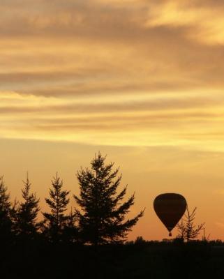 Twilight Landing