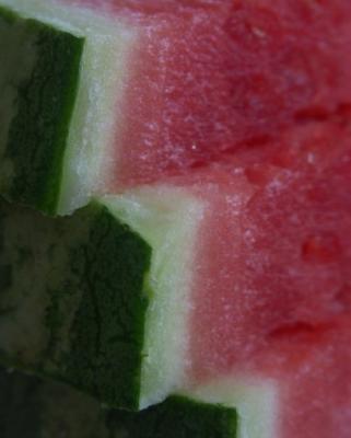 Stairing At Watermelon
