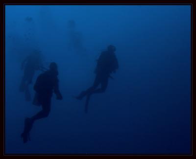 Diver Silhouettes