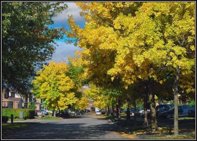 My street