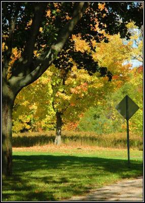 Colours are changing a BIT