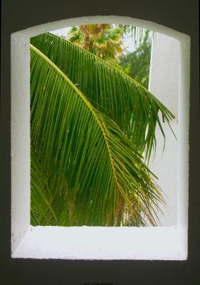 v3/18/469218/3/44828429.PICT4255_Condo_Window_01.jpg