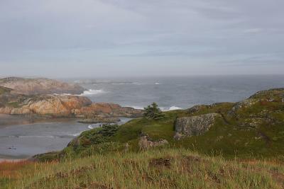 _MG_8117.JPG