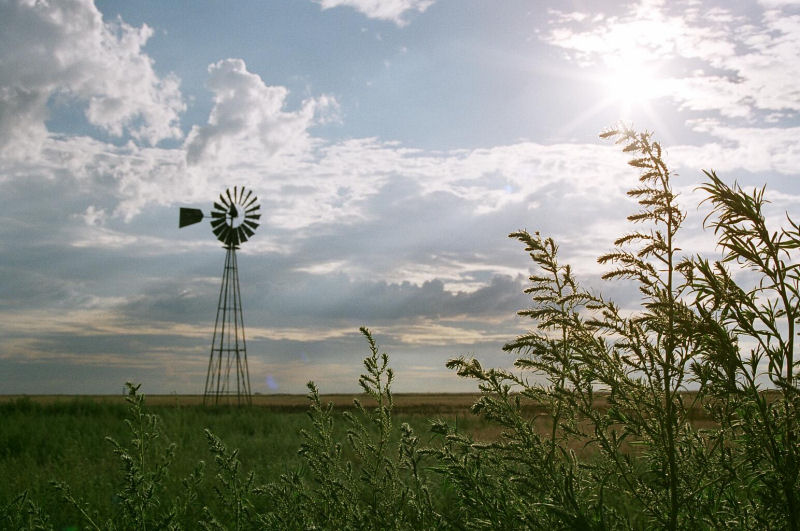 Windmill on The High Plains of Texas