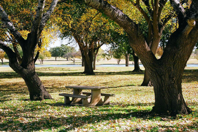 Autumn In The Park 2