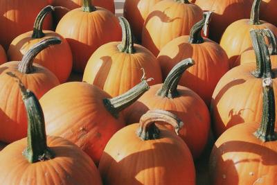 v3/18/513218/3/49742426.PumpkinPies.jpg