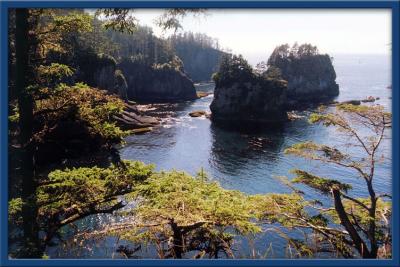 Cape Flattery.jpg