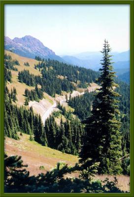 Hurricane Ridge.jpg