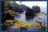 Cape Flattery.jpg