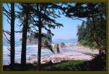 Olympic National Park.jpg