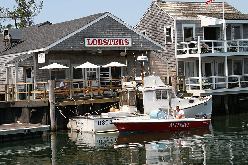 Lobster for Sale