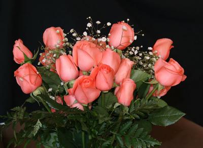 IMG_0448_2.jpg