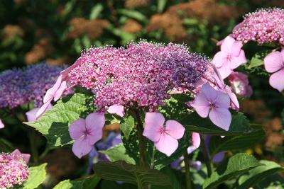 IMG_6892_2.jpg