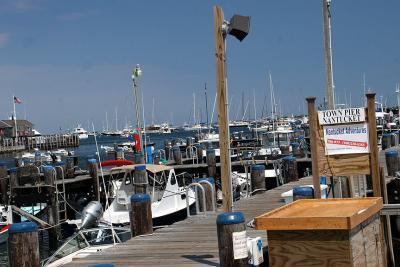 IMG_6905_2.jpg
