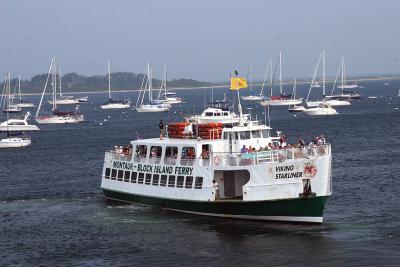 IMG_7206_2.jpg