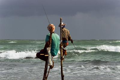 Stilt Fishermen