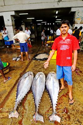 Fish market, Pettah