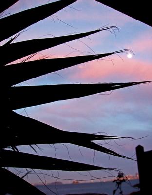 may moon 2005.jpg