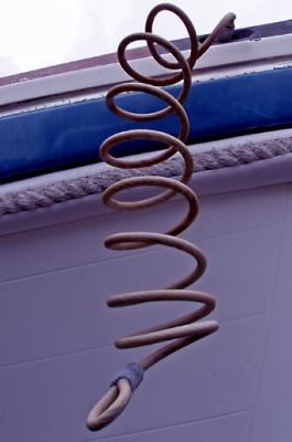 curly.jpg