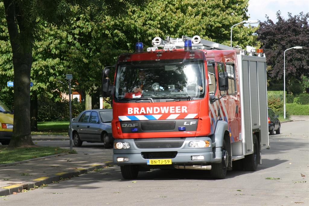 IMG_4795.JPG