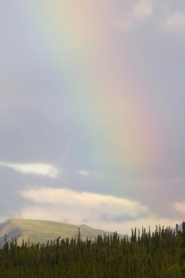 Denali Rainbow