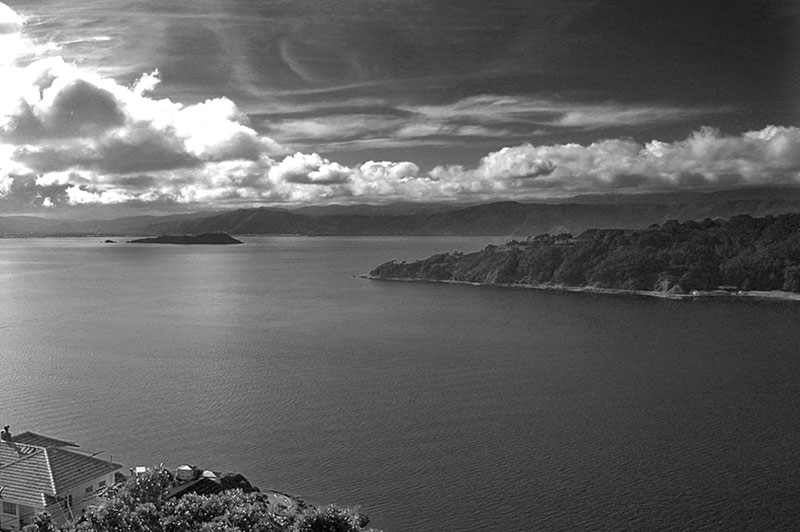 Harbour view in black and white