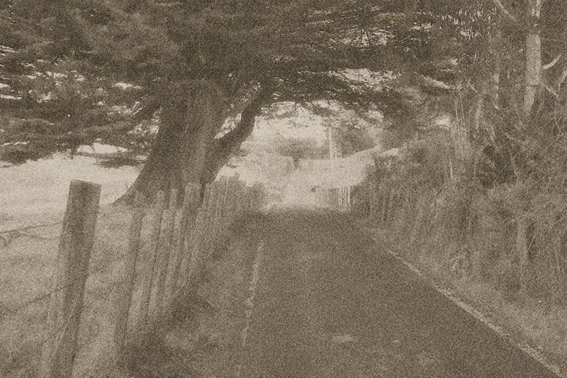 Country Road (sepia)