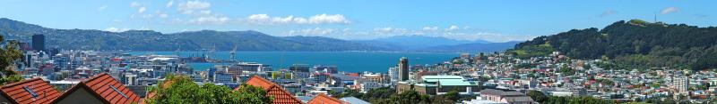 City and Harbour from Mt Cook