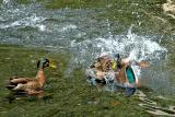 Foreplay (II)