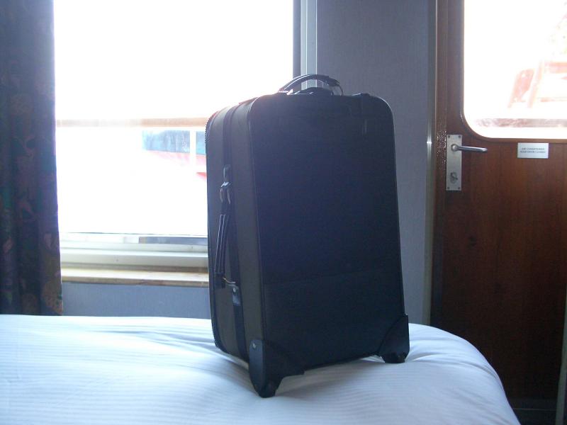 Suitcase enjoys the view from the cabin