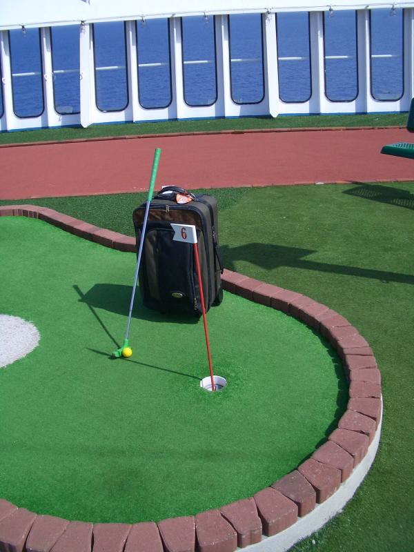 Suitcase goes for a birdie on board