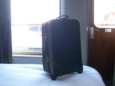 Suitcase enjoys the view from the cabin