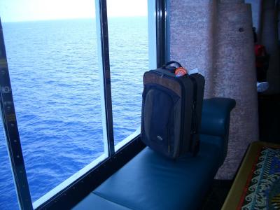 Suitcase relaxes and enjoys the view