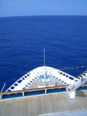 King of the world.jpg