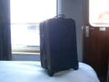 Suitcase enjoys the view from the cabin