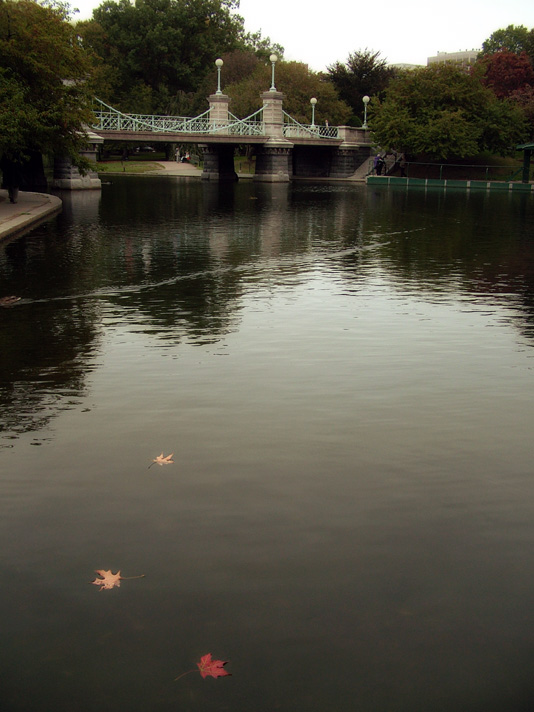 Autumn, Public Garden V