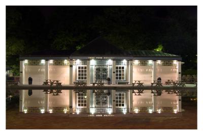 Frog Pond at Night