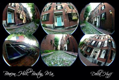 Beacon Hill Fisheye