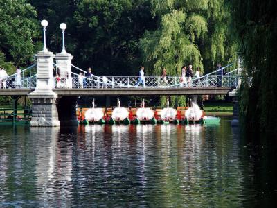 Boston's Public Garden