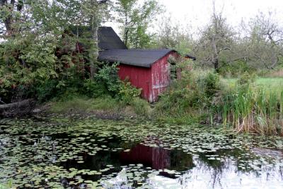 Apple Shed, Hollis, NH